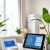 Koszt instalacji smart home i eko rozwiązań: jak zaplanować wydatki i uniknąć ukrytych pułapek